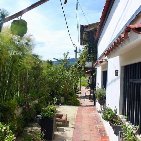 Casa De Hospedaje Vivaio 派帕 外观 照片