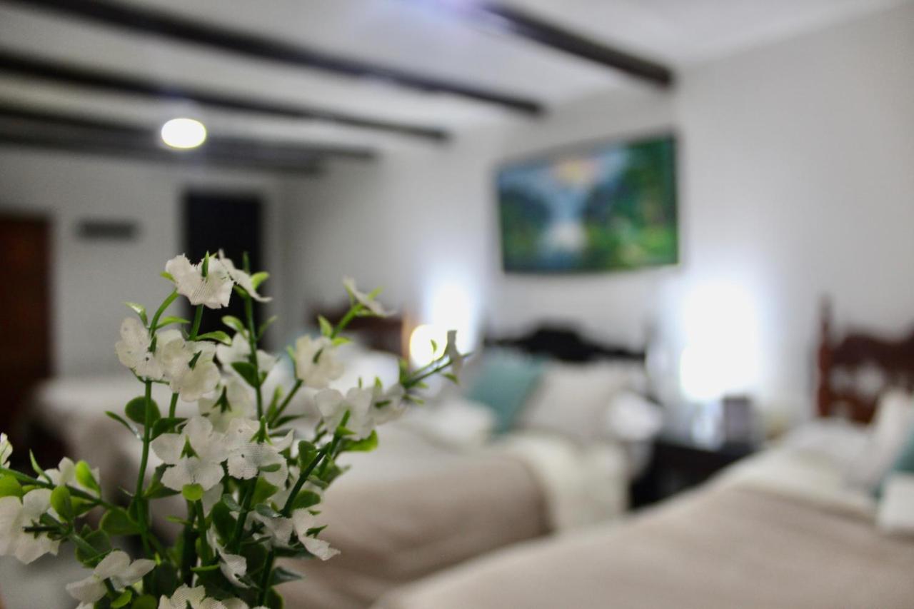 Casa De Hospedaje Vivaio 派帕 外观 照片