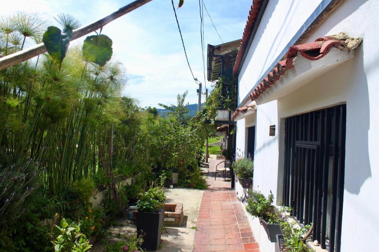 Casa De Hospedaje Vivaio 派帕 外观 照片